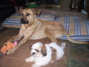 Lucas and his BFF Otto
