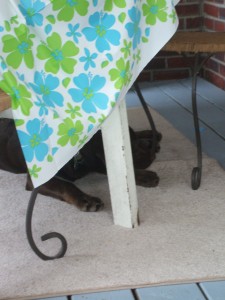 Turk hides from the little ones!
