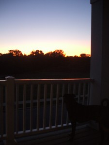 emmett-945-pm Emmett watches the sun go down at 9:45 pm!