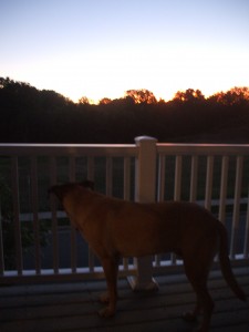 lucas-945-pm Lucas enjoys the sunset.
