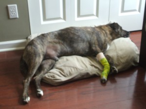 When he first got home, John carried him up the stairs and laid him in bed. 