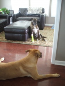 Lucas watches over Emmett