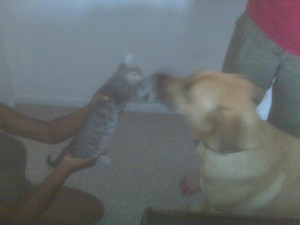 lucas-and-penny