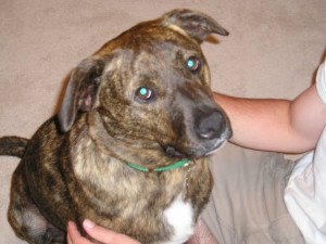 My favorite pic of Emmett