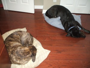 My old men