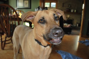 Lucas always gets his lips stuck