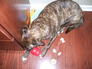 Emmett gathers his toys