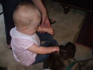 My bully-mix baby Emmett and baby cousin Ava
