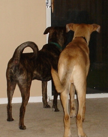 Best friends