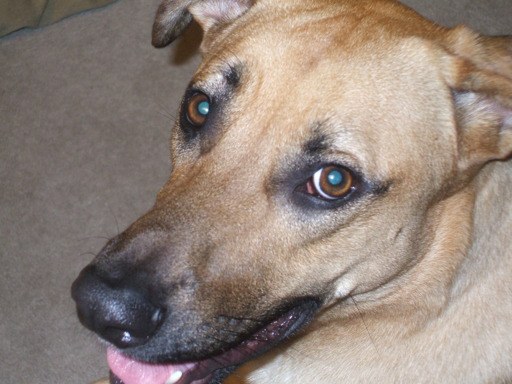 Handsome Lucas