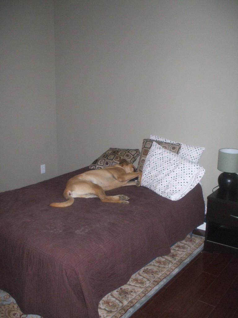 Lucas in "his" bedroom