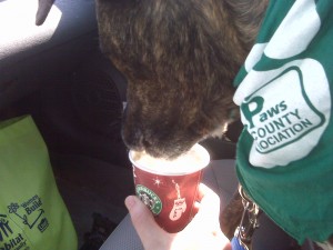Emmett enjoys a much-deserved treat. 
