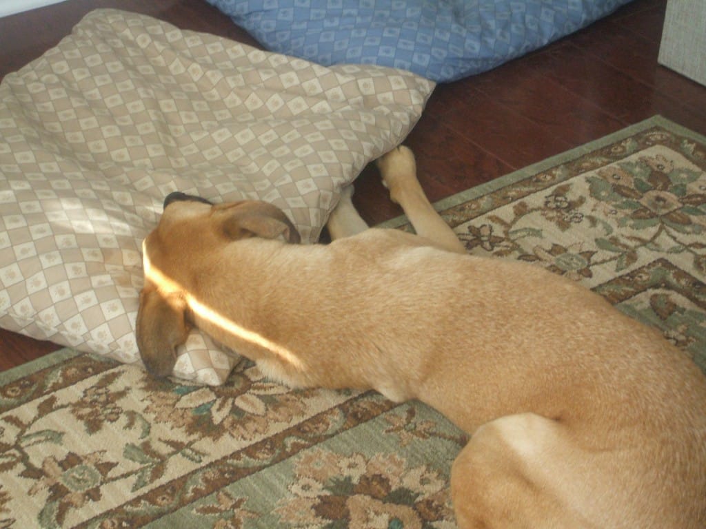 Pillow