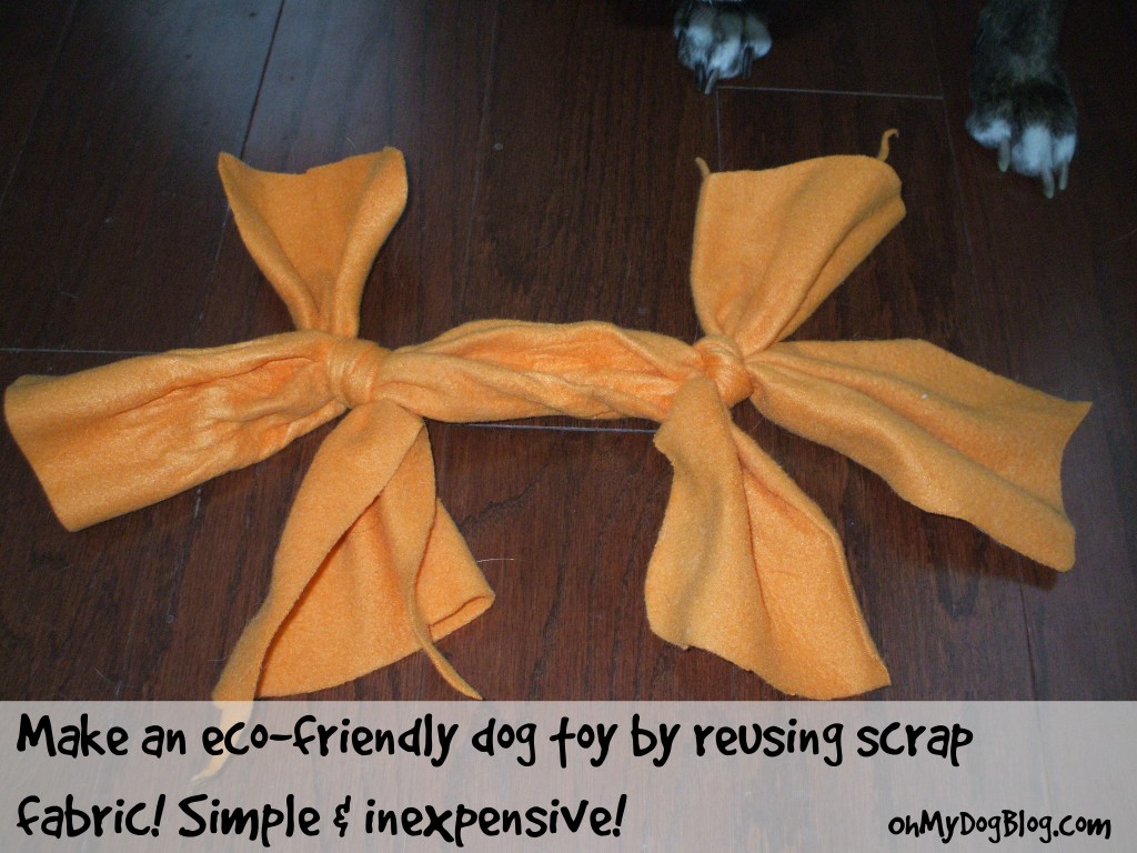 How to make an eco-friendly dog toy