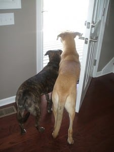 at the door
