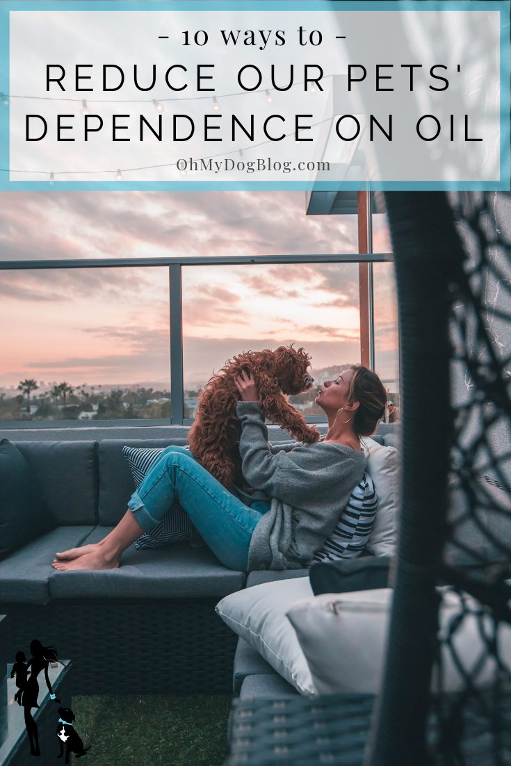 10 ways to reduce our pets' dependence on oil