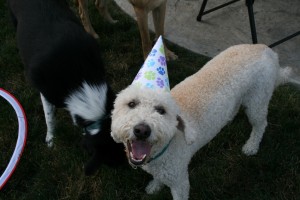 Lenny_hat