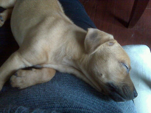 sleepy