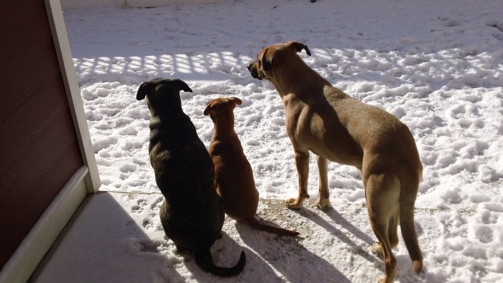Brothers