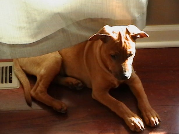 IMGA0182