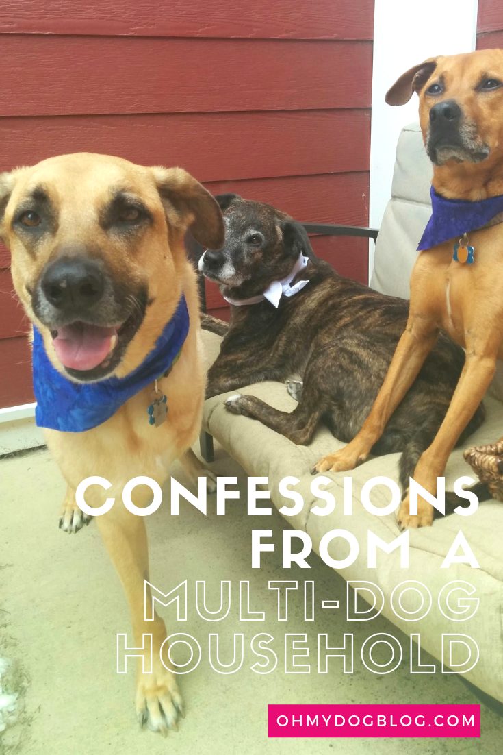 Confessions of a multi-dog household