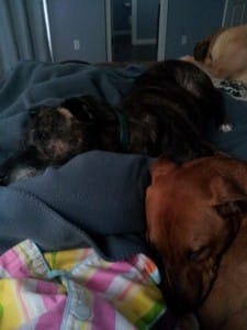 My nurses