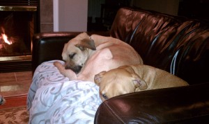 We're so alike... but also very different.