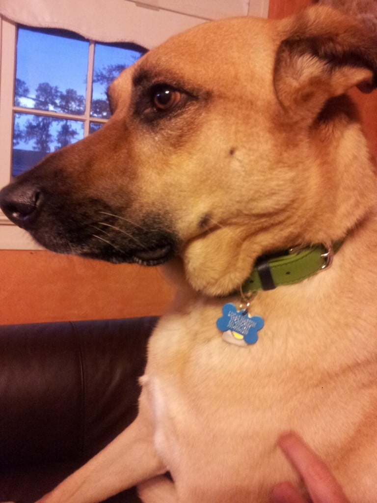 Lucas ponders his existence.