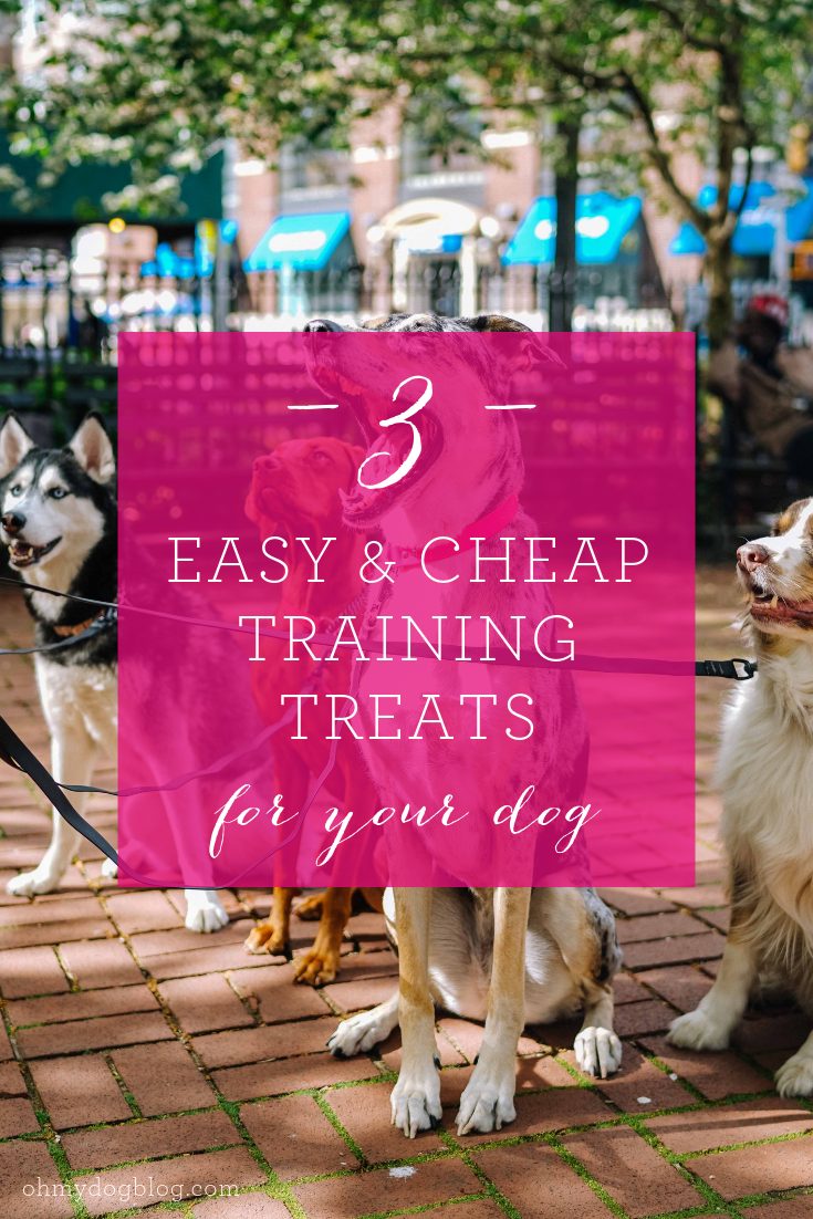3 Quick-and-easy DIY training treats you probably already have in your fridge