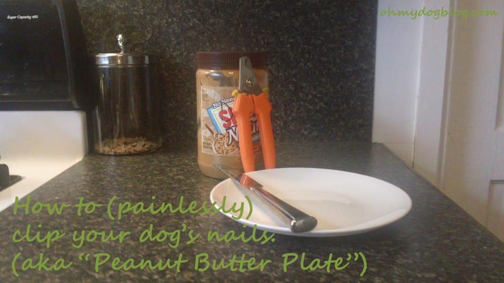 How to clip your dog's nails: Peanut butter plate