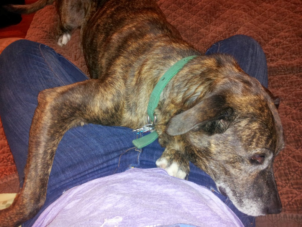 I think Emmett missed me the most! He didn't stop hugging me until I had to get up to put on my PJs!