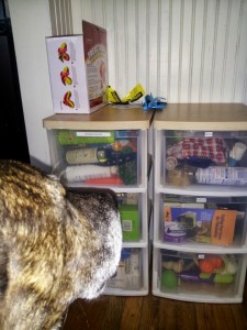 pet care storage