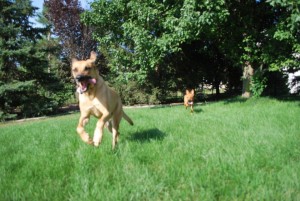 whee!