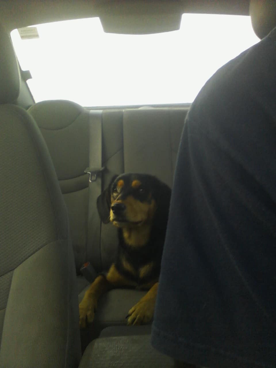 Molly