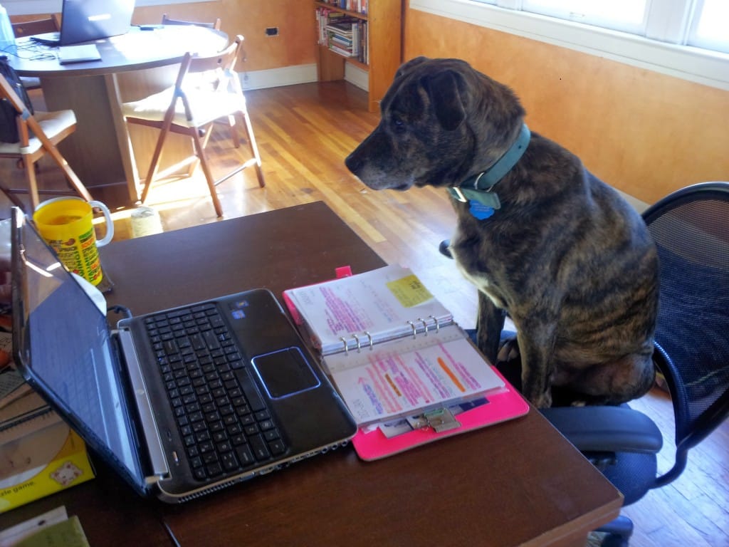 Emmett working