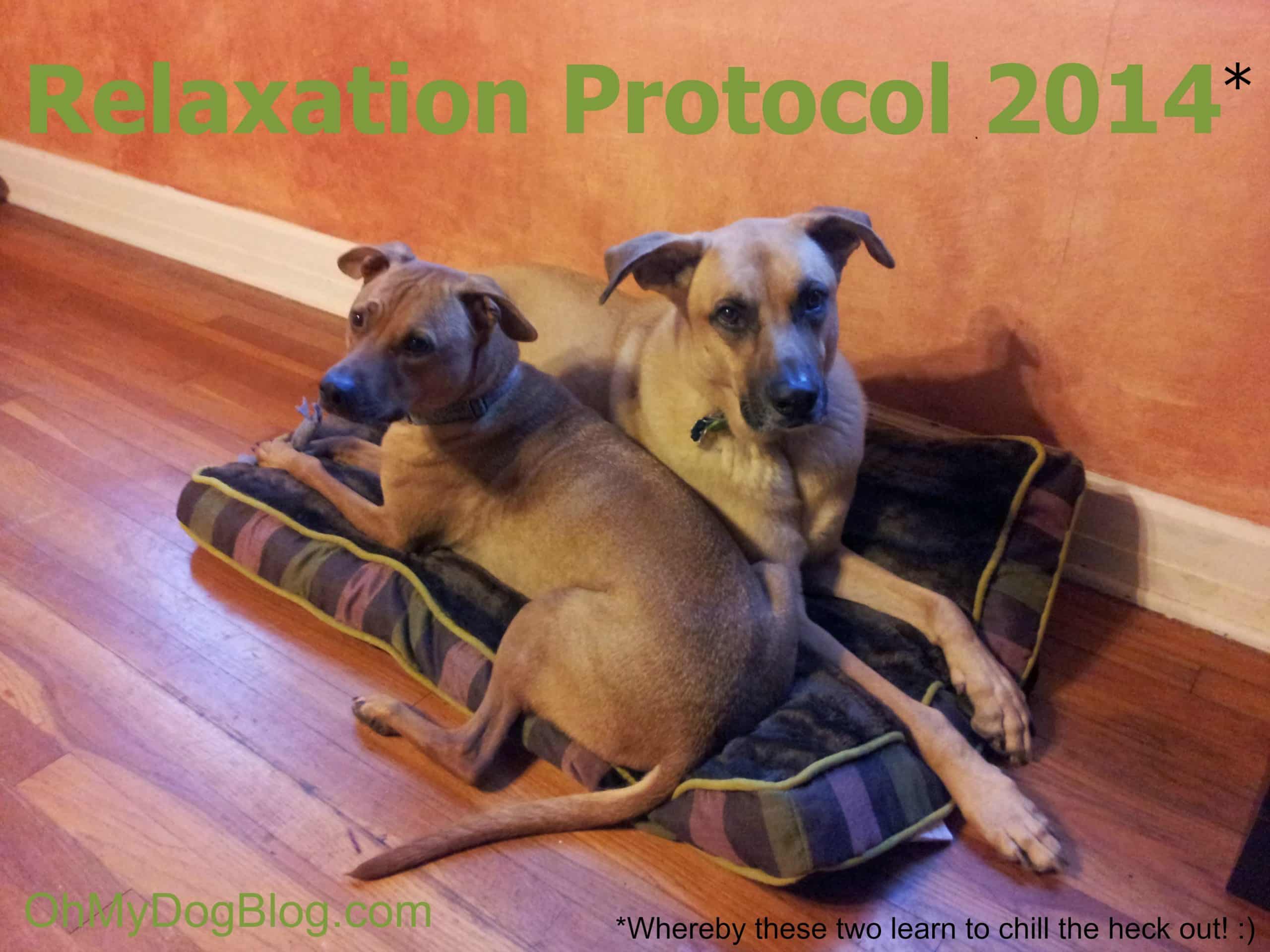 relaxation protocol