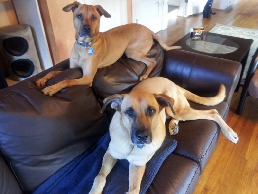 Coop and Lukey