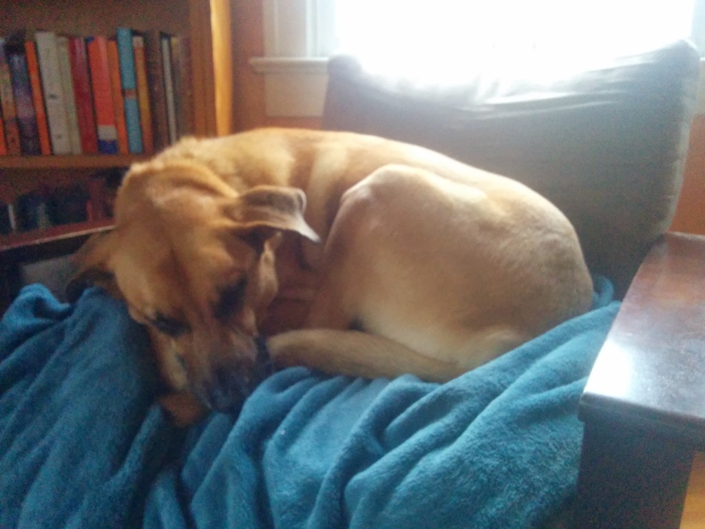Dozing