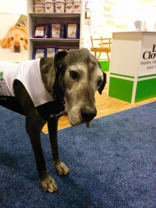 Handsome man