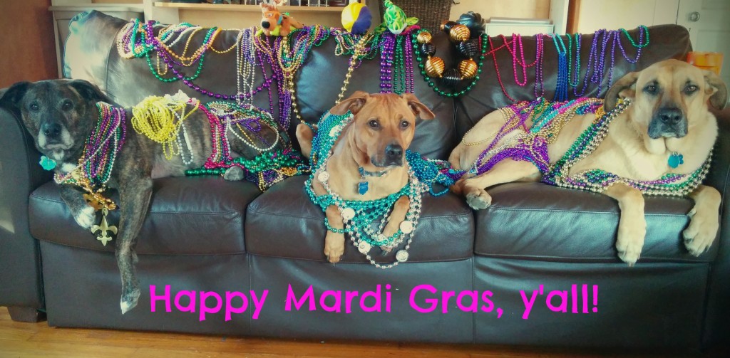 Mardi Gras2014