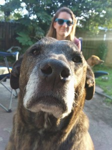 Emmett's sweet face