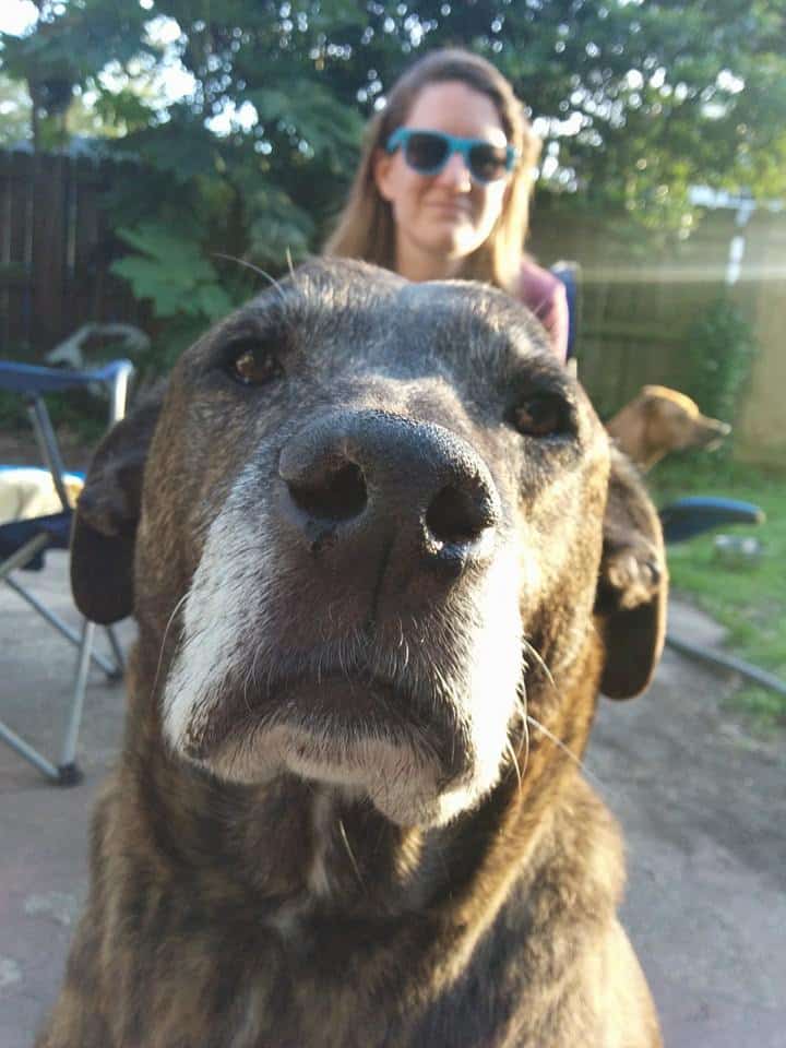 Emmett's sweet face