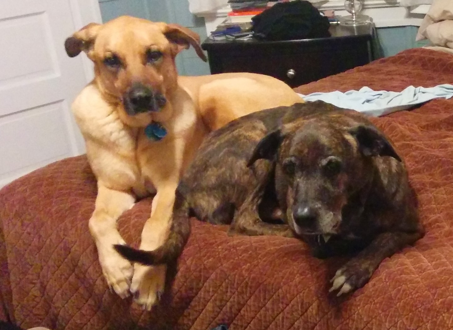 Brothers