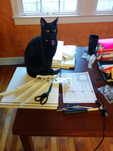 Newt on my desk. Again.