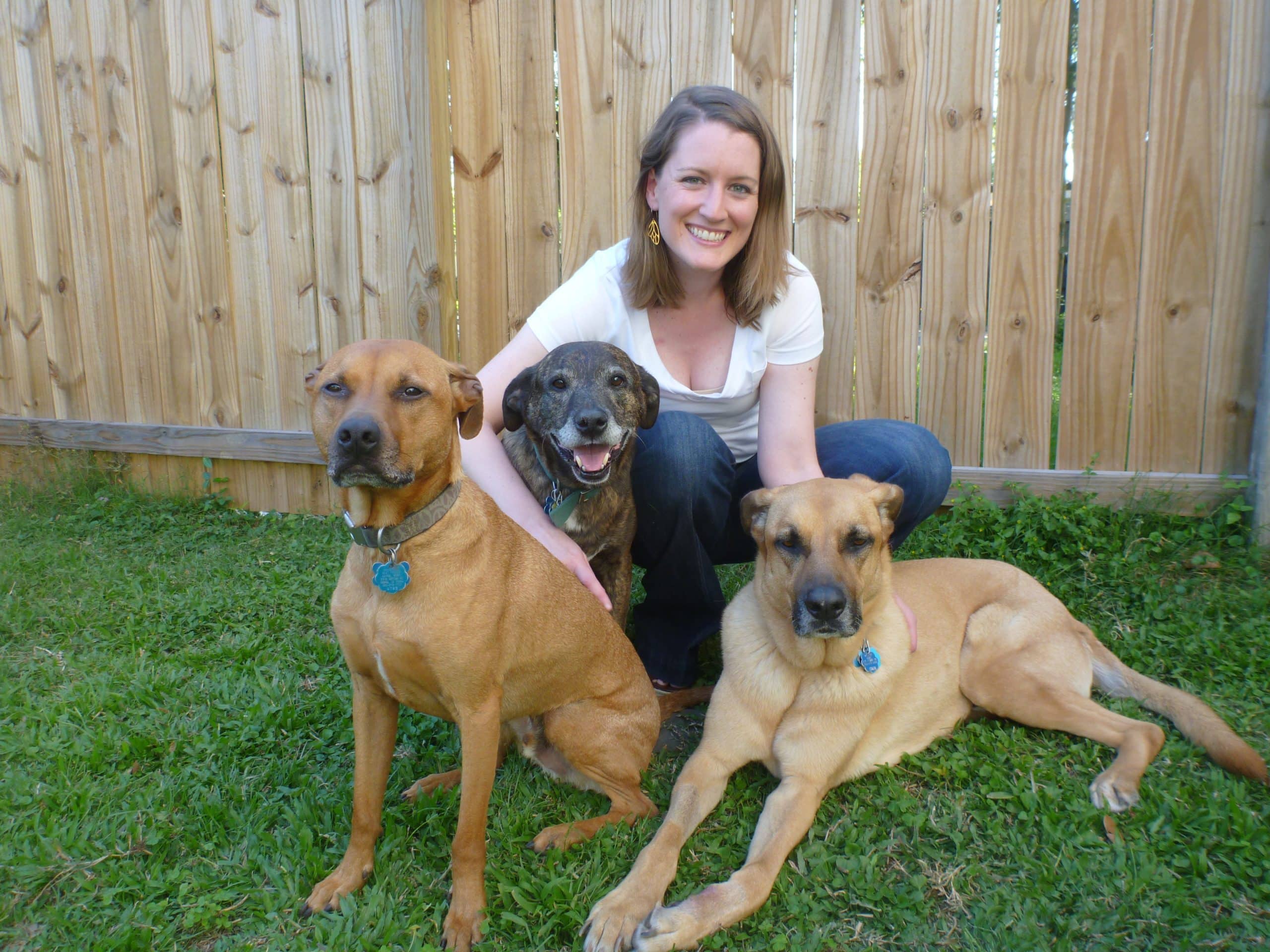 Maggie and the OMD! herd May 2014