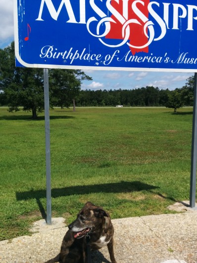 On the road with Emmett for #EmsBucketList