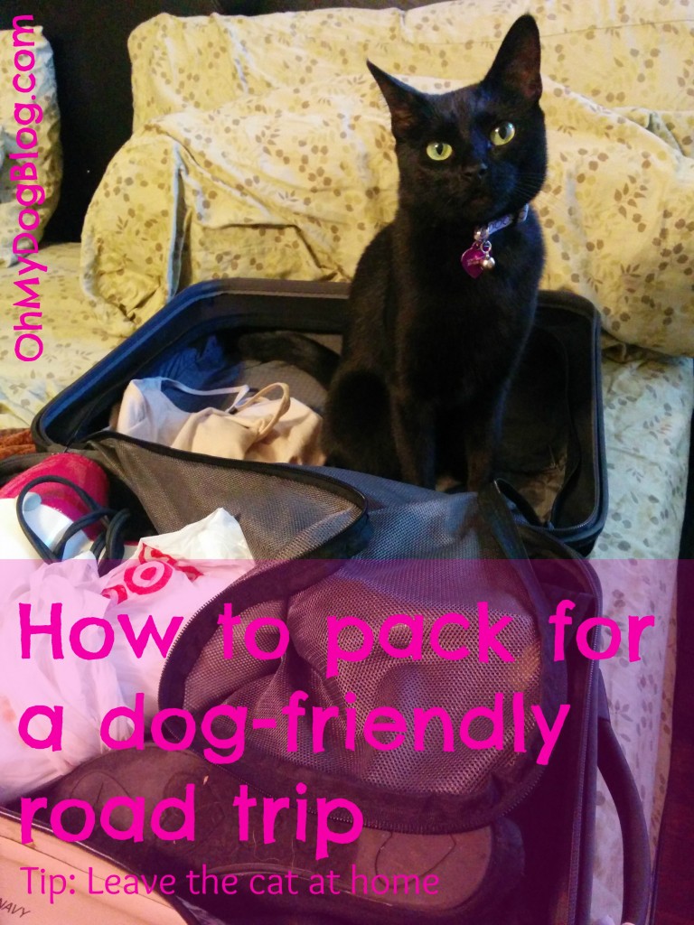 How to pack for a dog-friendly road trip