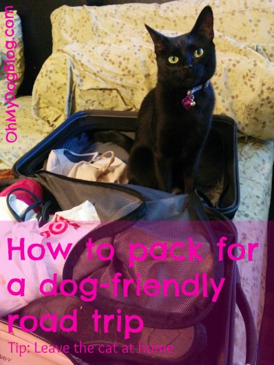 How to pack for a dog-friendly road trip