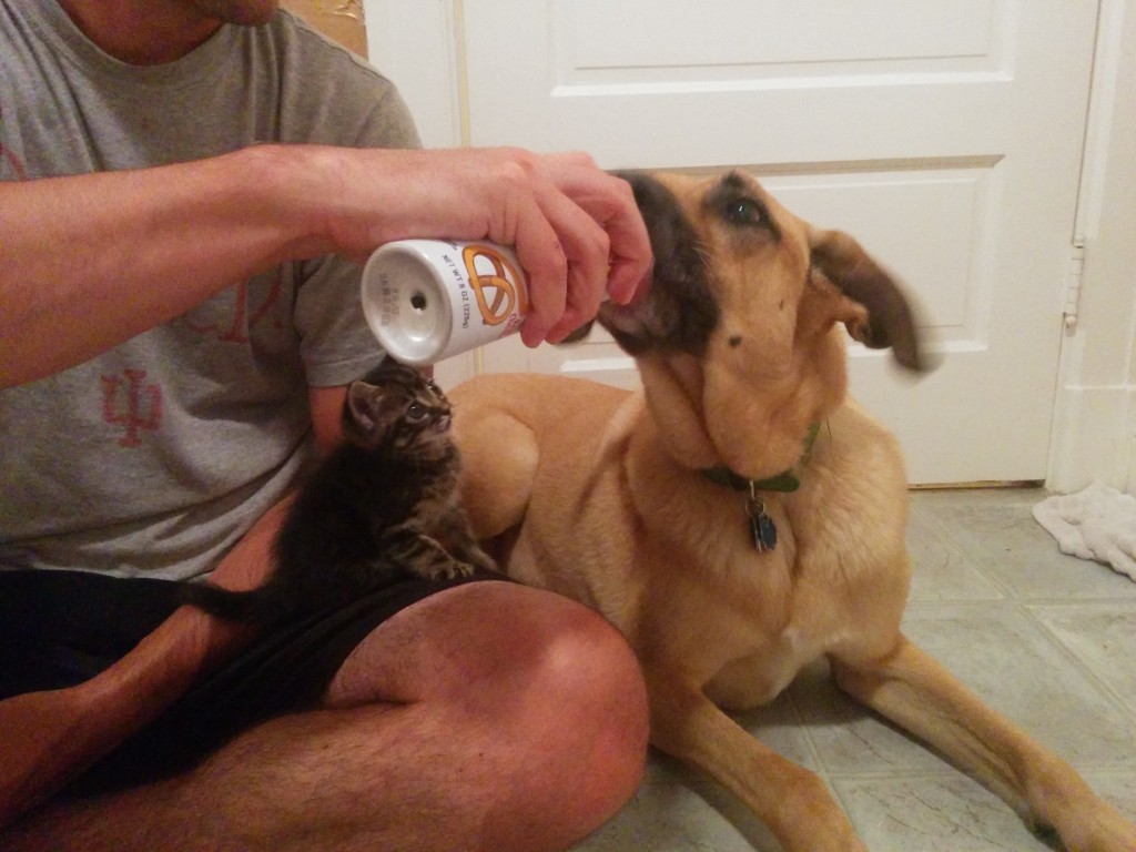 Turns out, positive reinforcement works!