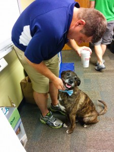 Emmett gets scratches